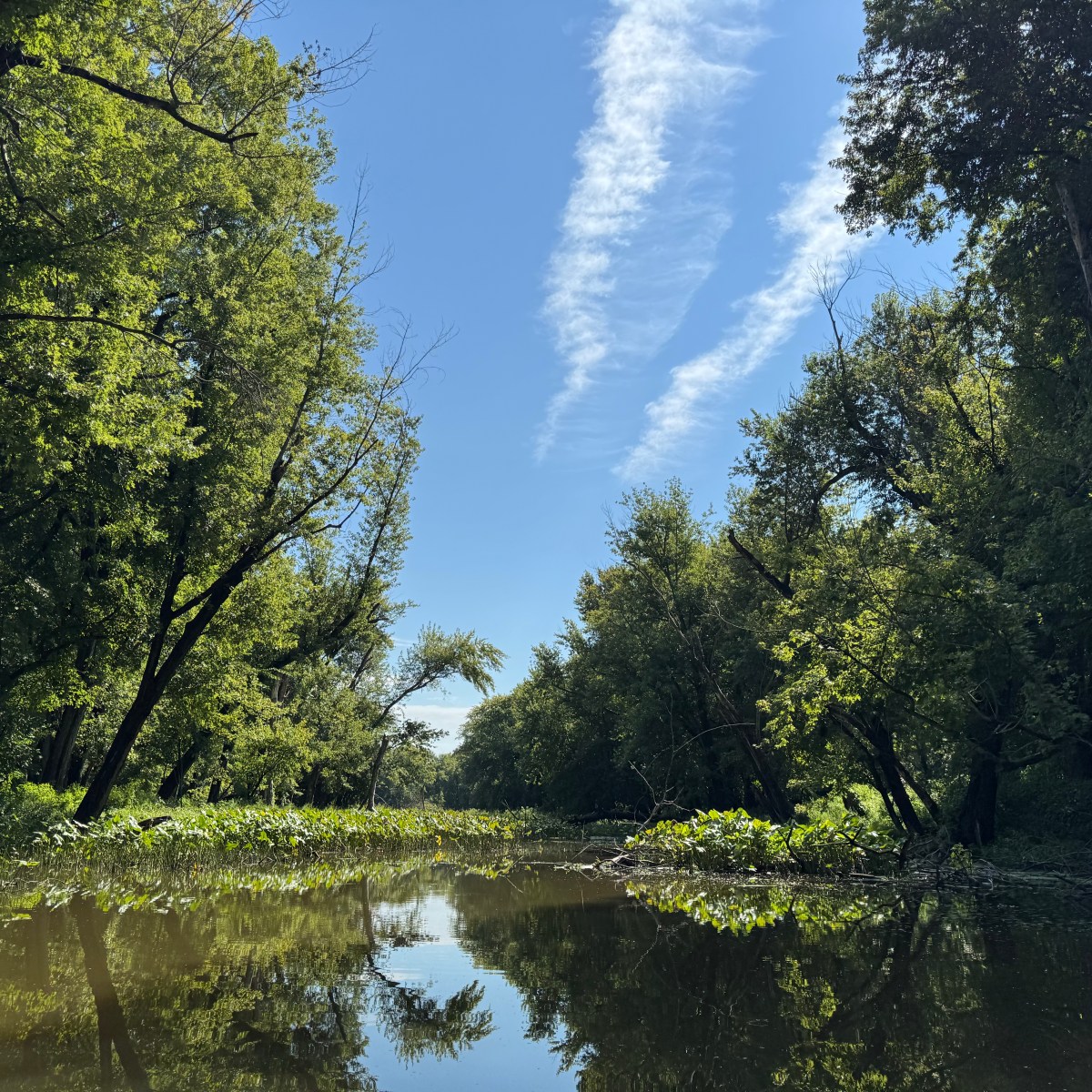 Exploring the Mississippi River Islands of Rock Island County,&nbsp;IL